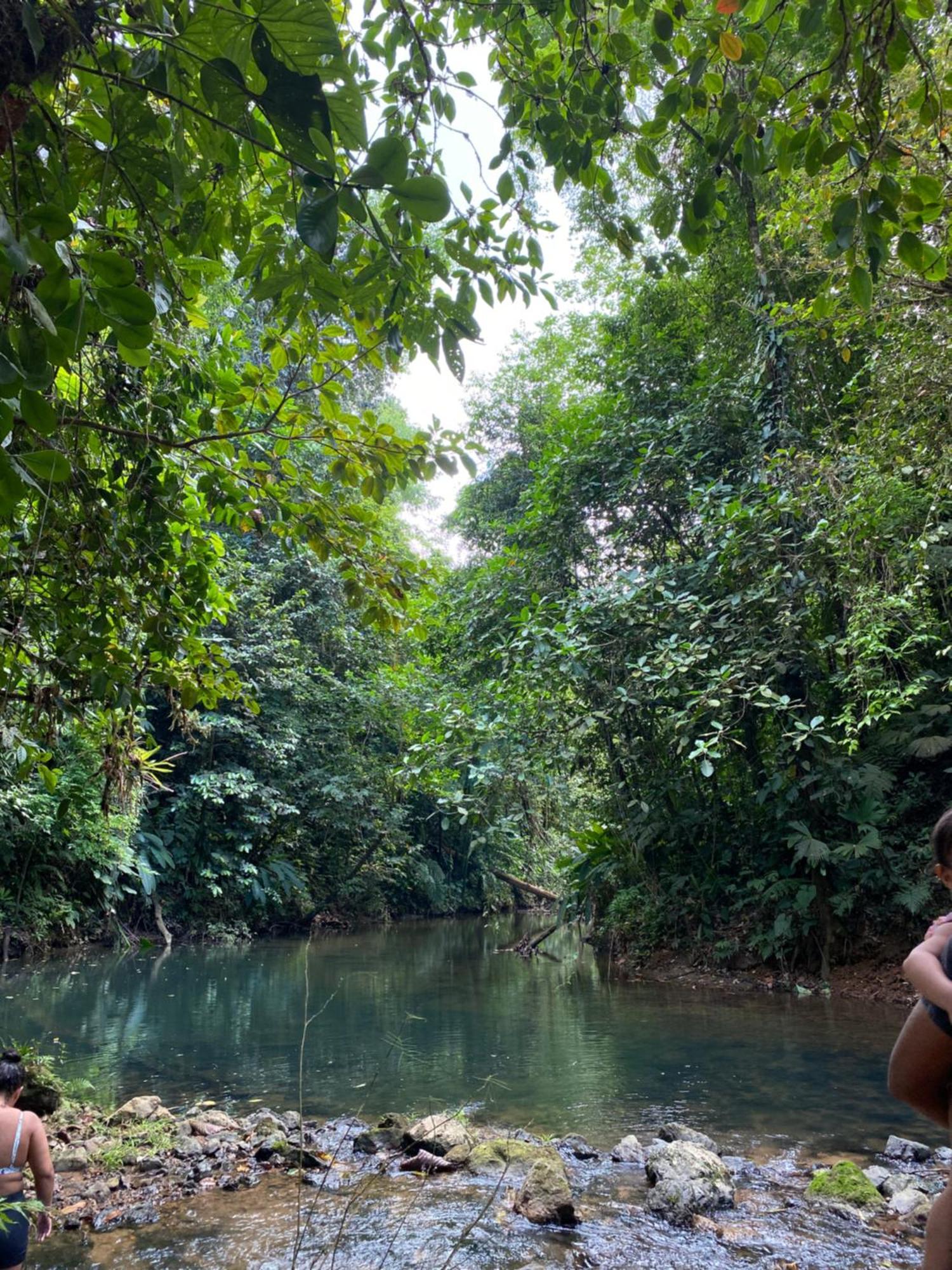 Cabinas Corcovado Green Parrot, Los Planes Drake Drakes Bay Extérieur photo