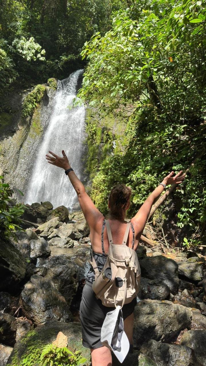 Cabinas Corcovado Green Parrot, Los Planes Drake Drakes Bay Extérieur photo
