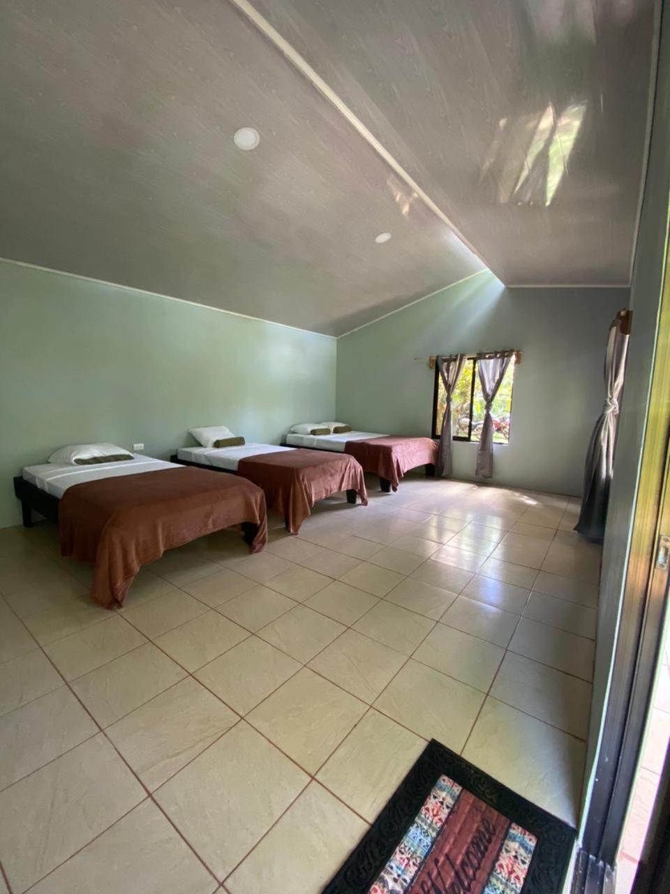 Cabinas Corcovado Green Parrot, Los Planes Drake Drakes Bay Extérieur photo