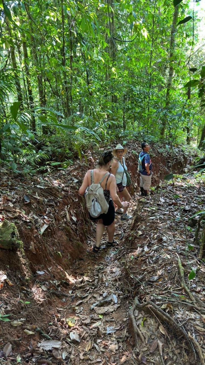 Cabinas Corcovado Green Parrot, Los Planes Drake Drakes Bay Extérieur photo