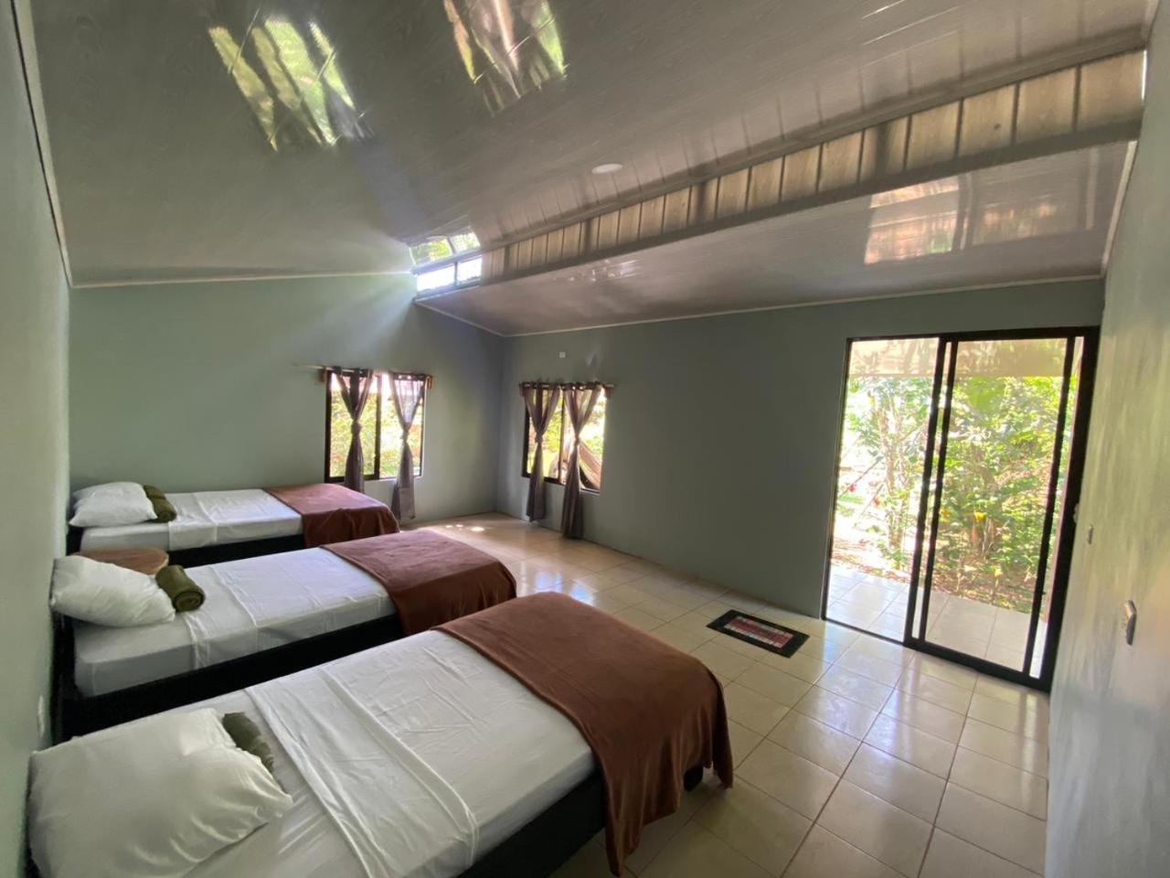 Cabinas Corcovado Green Parrot, Los Planes Drake Drakes Bay Chambre photo