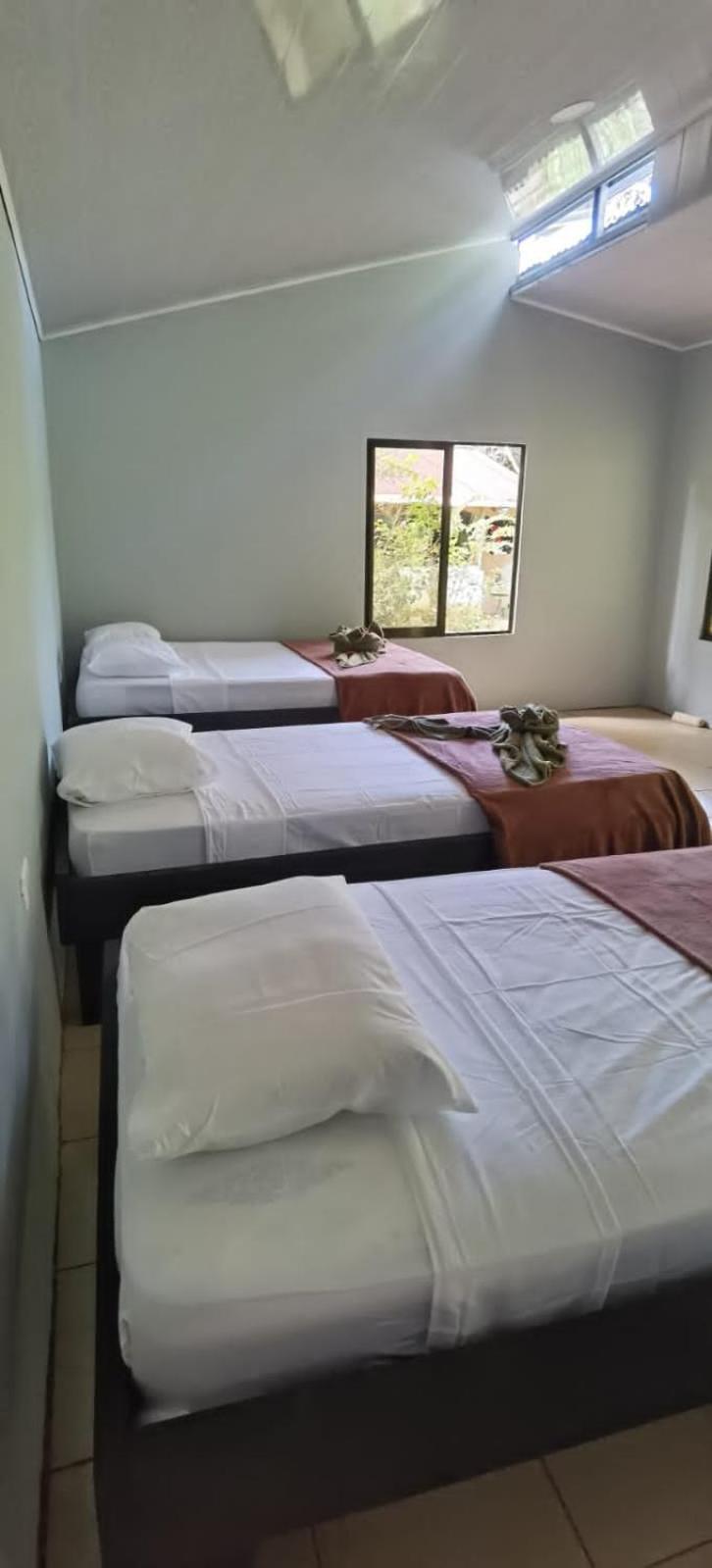 Cabinas Corcovado Green Parrot, Los Planes Drake Drakes Bay Extérieur photo