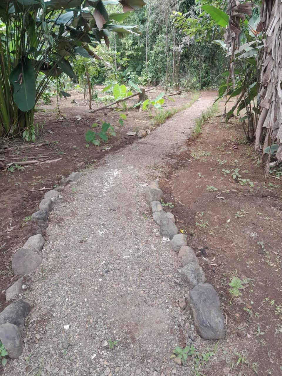 Cabinas Corcovado Green Parrot, Los Planes Drake Drakes Bay Extérieur photo