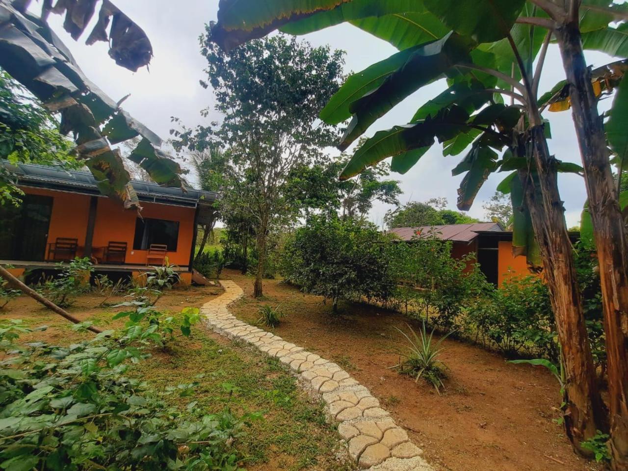Cabinas Corcovado Green Parrot, Los Planes Drake Drakes Bay Extérieur photo